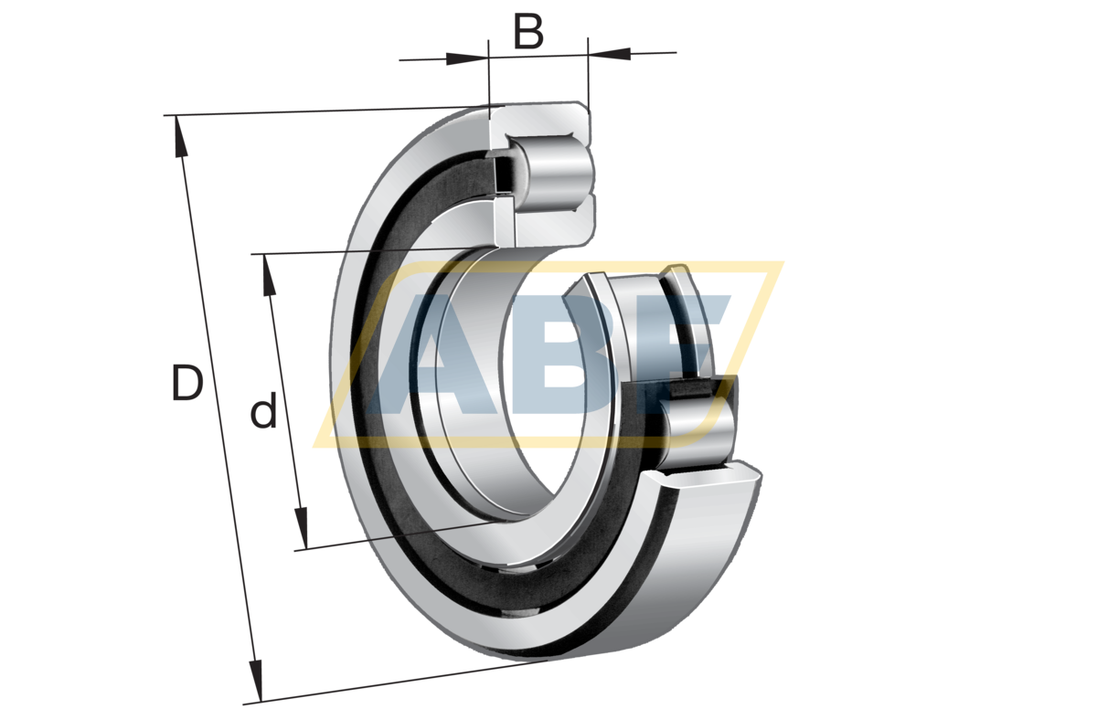 NUP205-E-XL-TVP2-C4 FAG