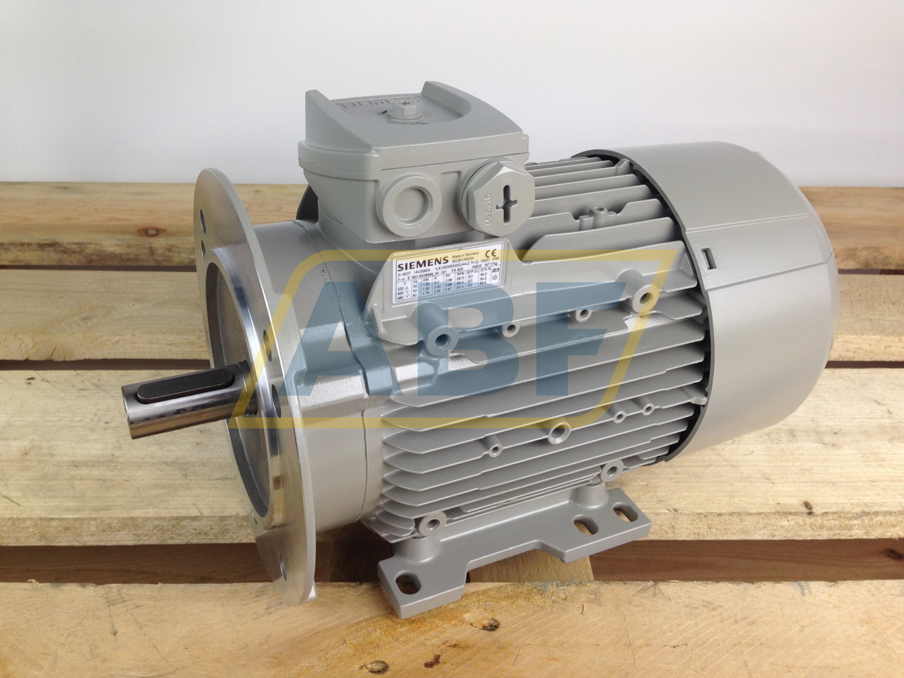 1LE1003-0EA02-2JA4 Siemens
