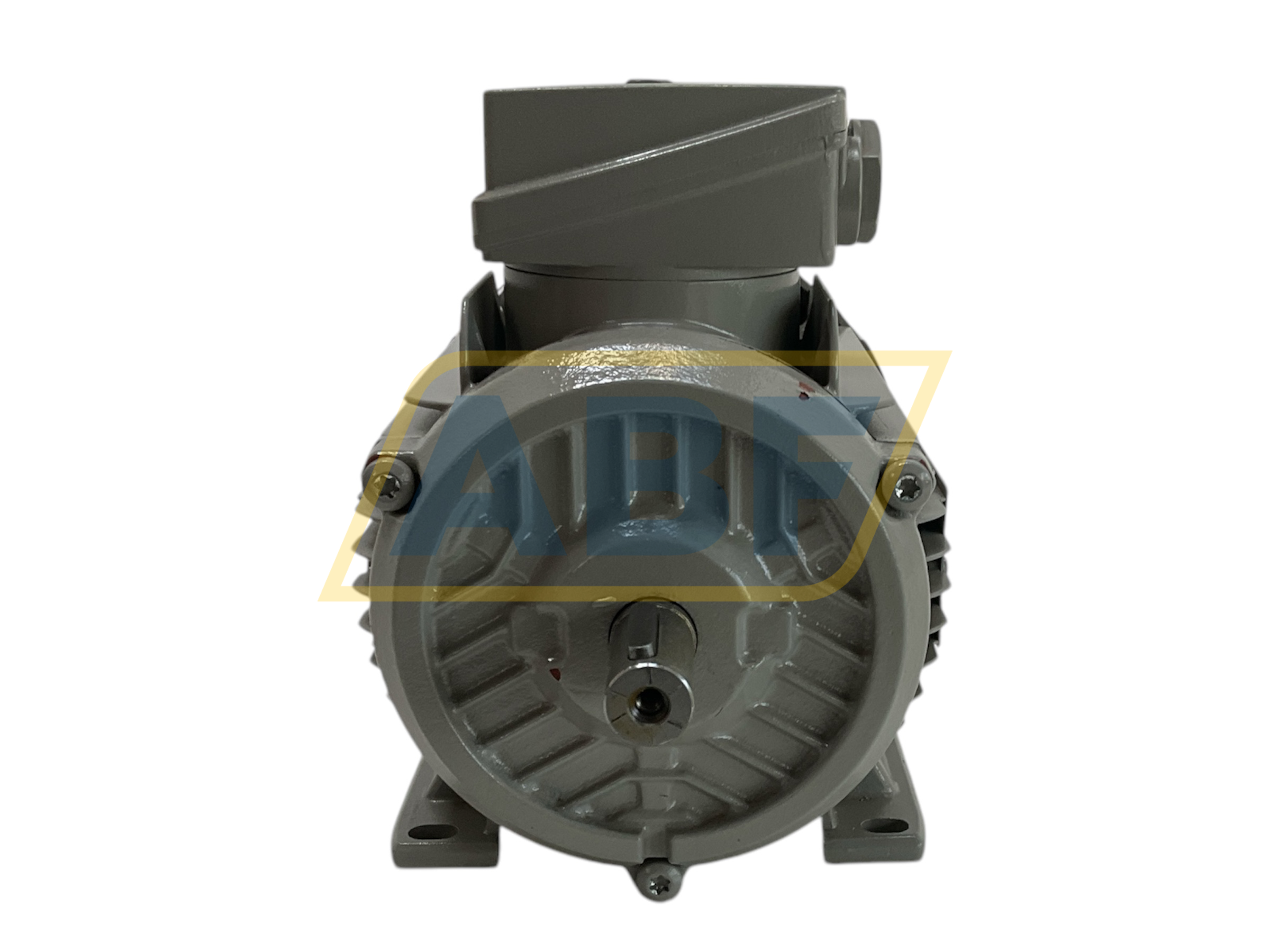 1TZ9001-0DB33-4AA4 Lönne