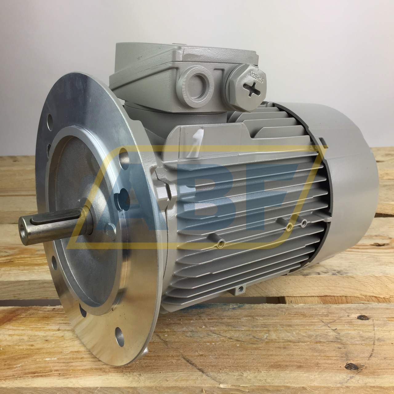 1LE1001-0DB22-2FA4 Siemens