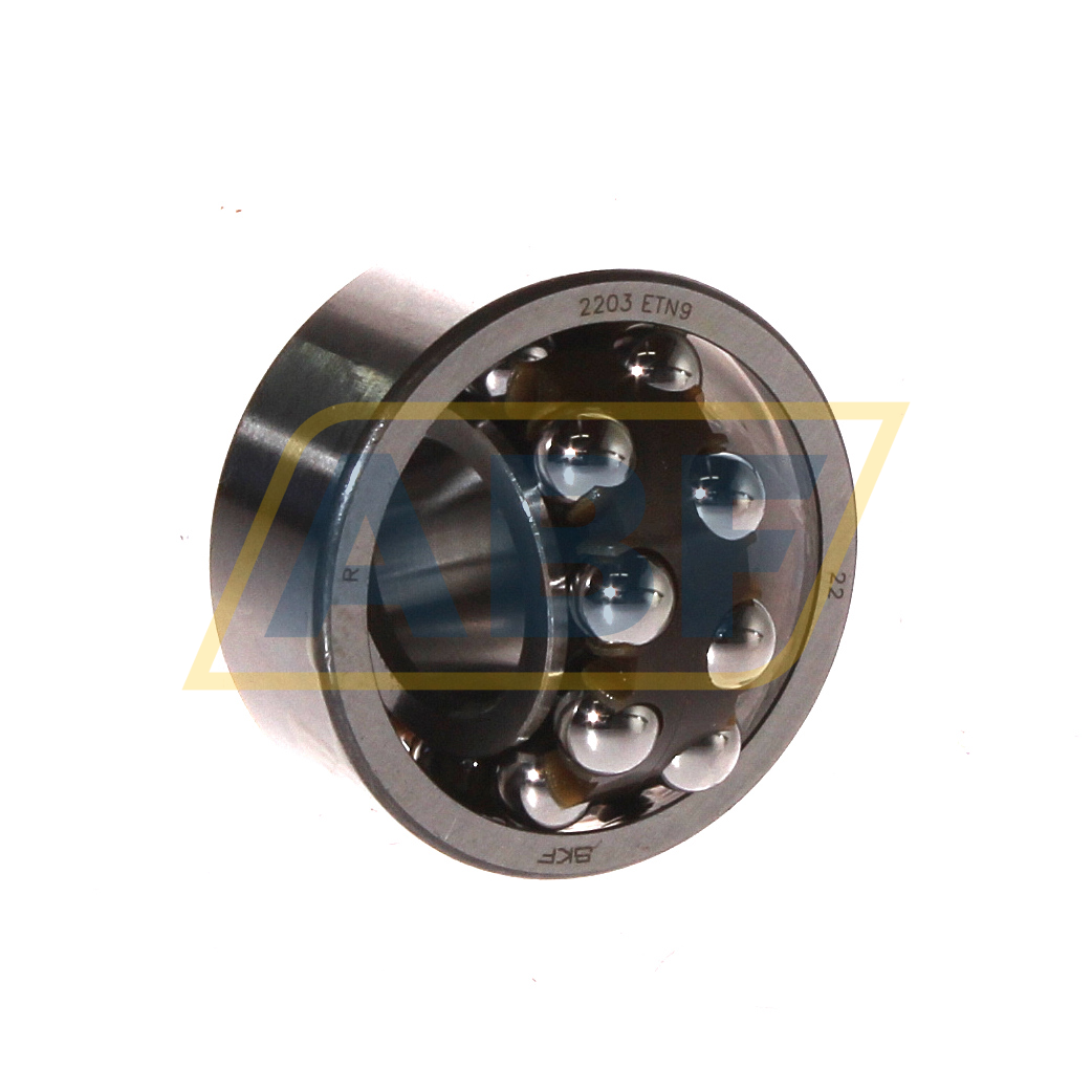 2203ETN9 SKF