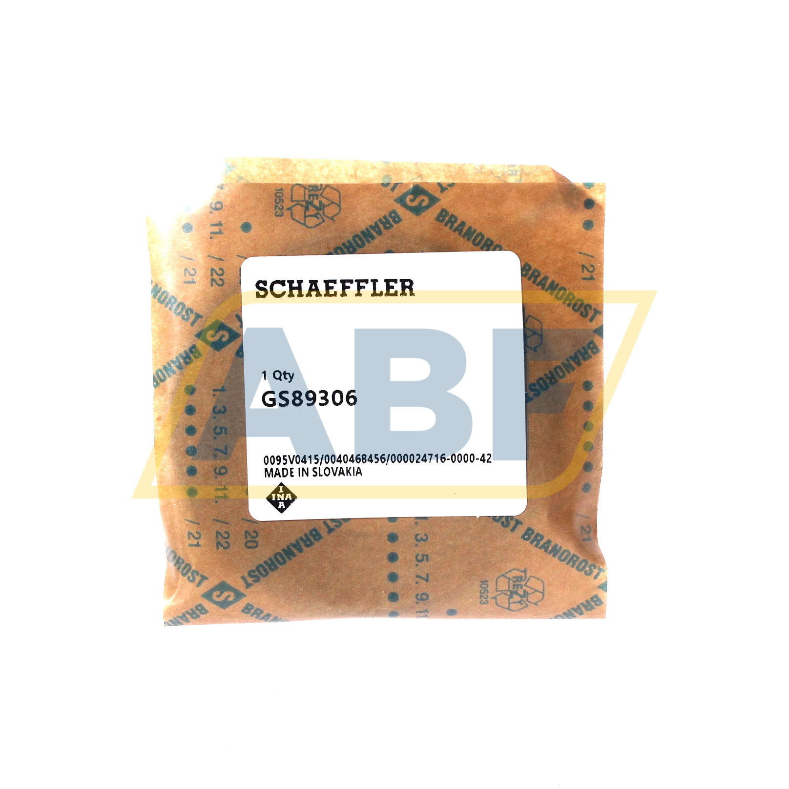 GS89306 INA