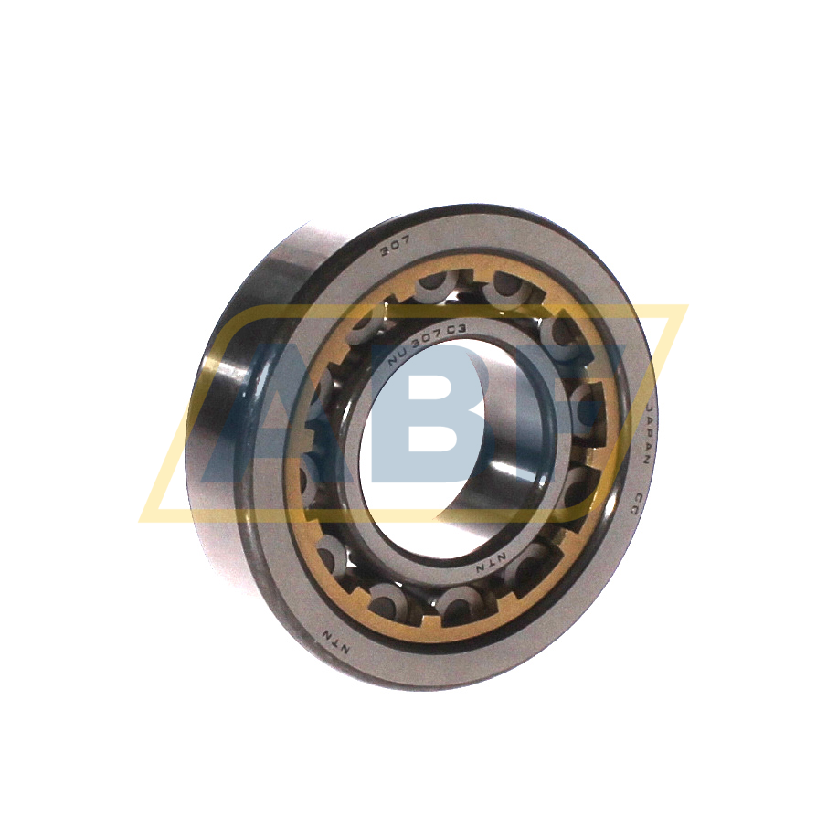 NU307G1C3 NTN