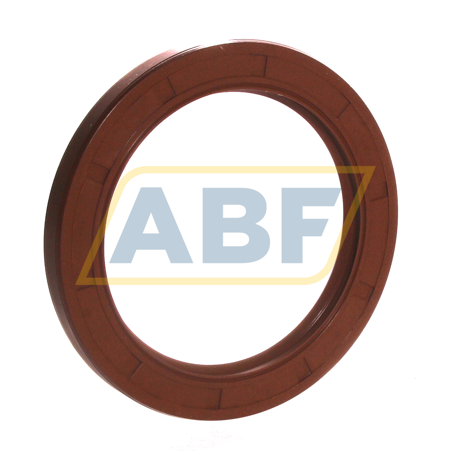 75X100X10HMSA10V SKF