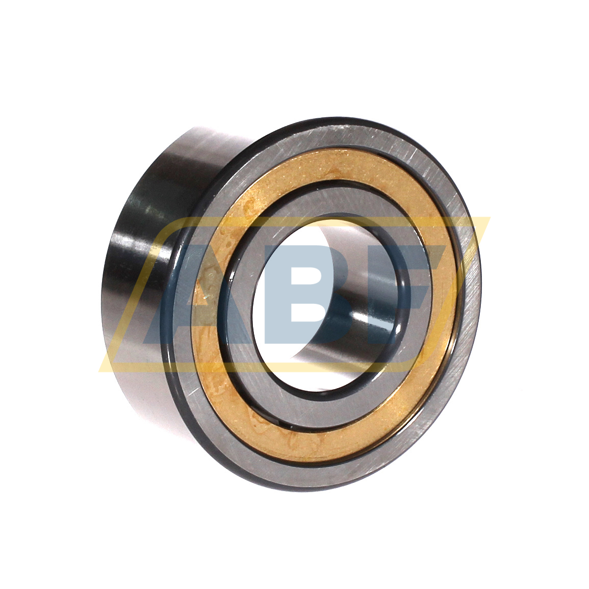 NJ2310-E-XL-M1A-QP51-C4 FAG