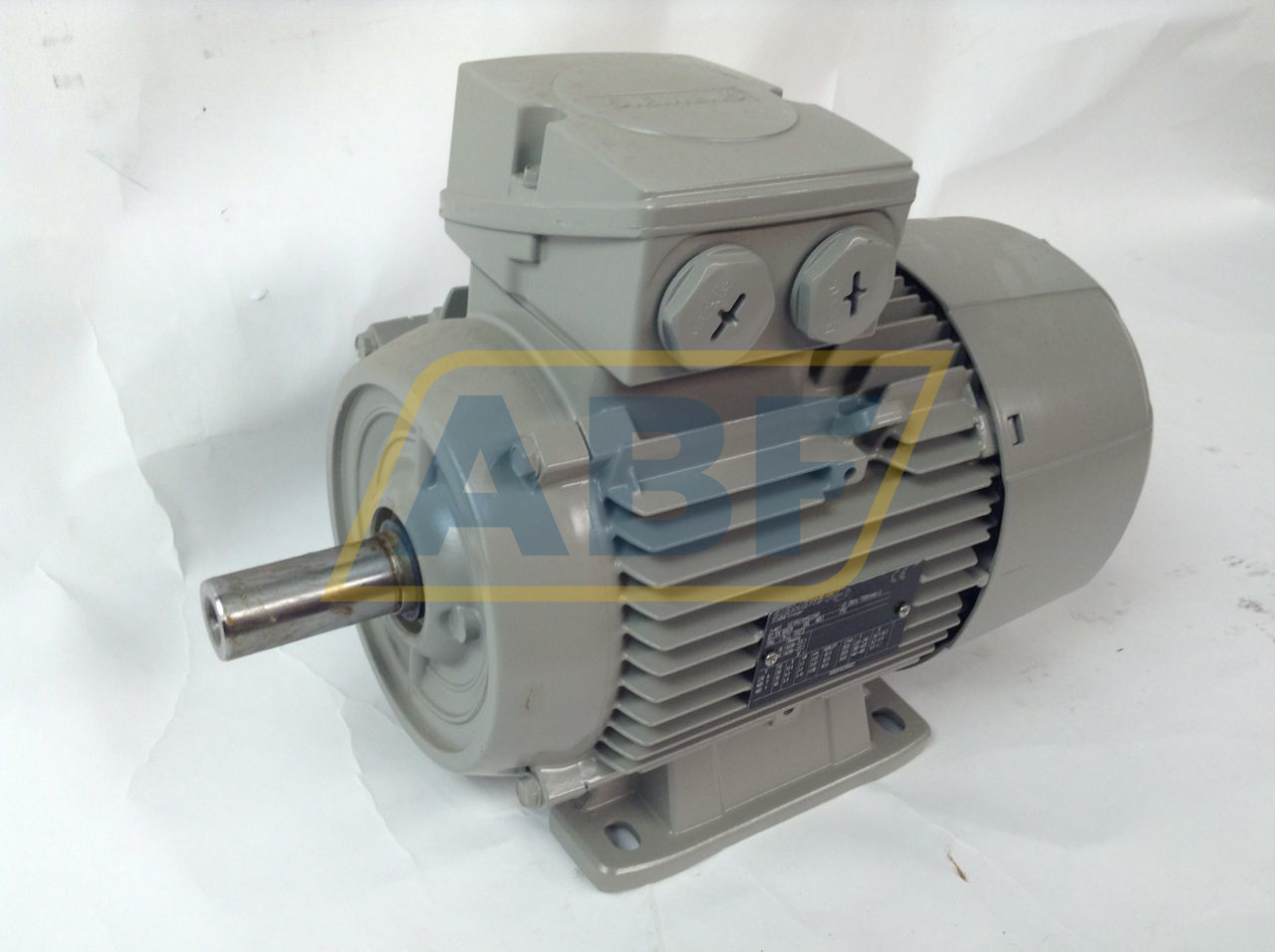 1LE1002-1AA42-2AA0 Siemens