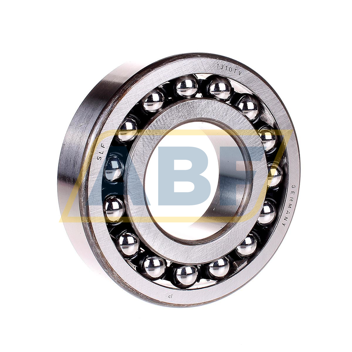 1310TV SLF Fraureuth