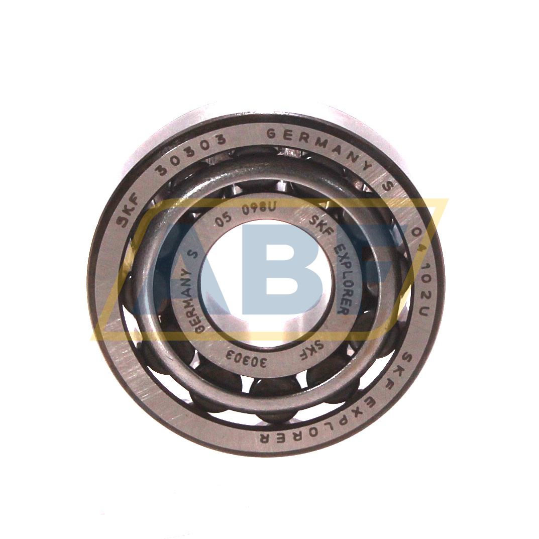 30303 SKF