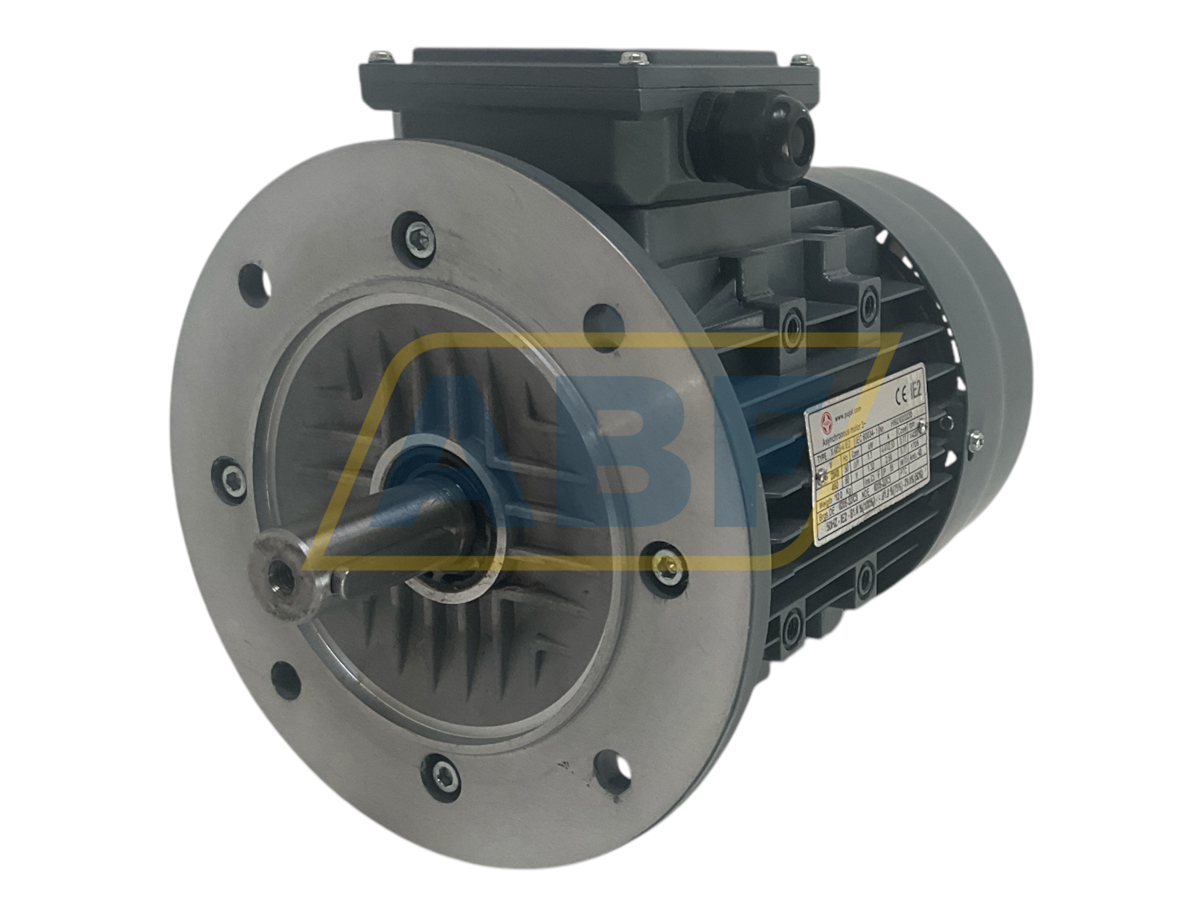 X-90S-4 Pujol Muntala