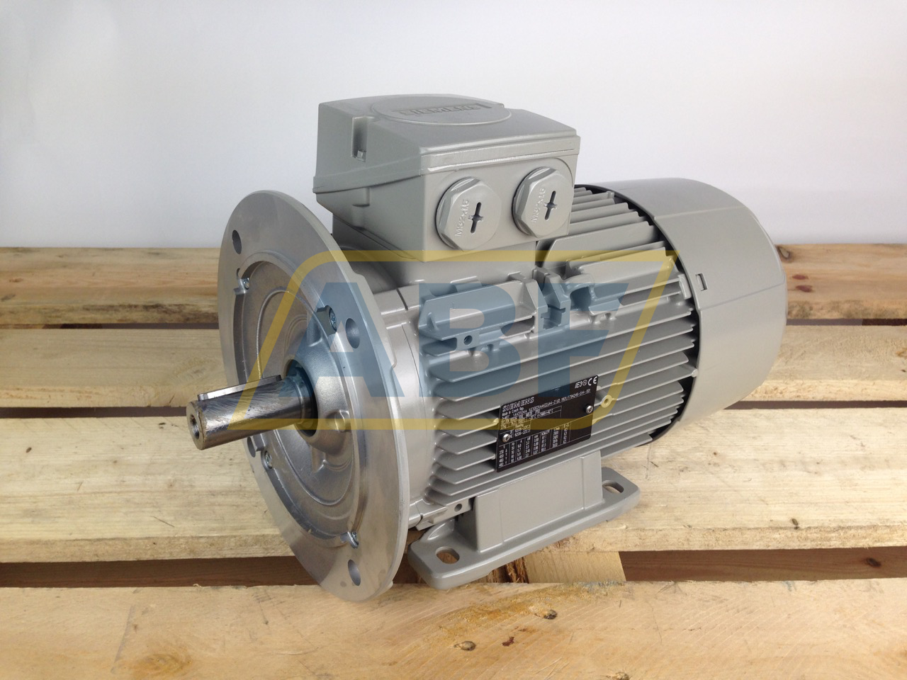 1LE1003-1AA42-2JA4 Siemens