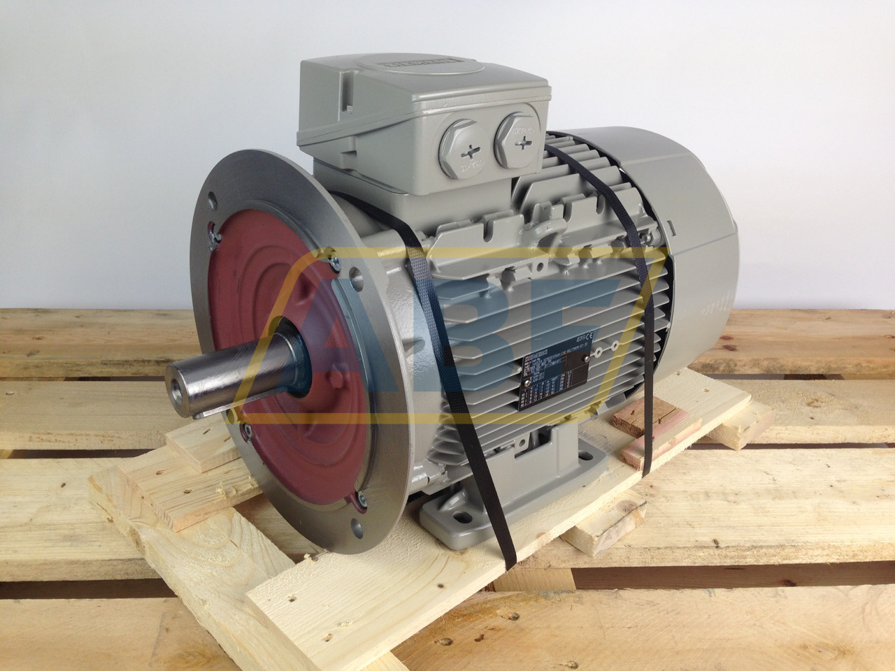 1LE1003-1CA13-4JA4 Siemens