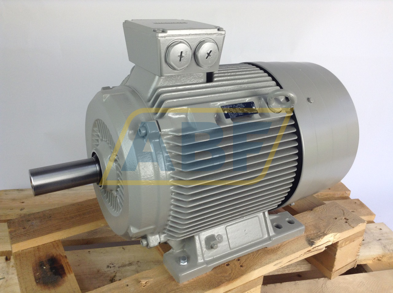 1LG4186-6AA60 Siemens