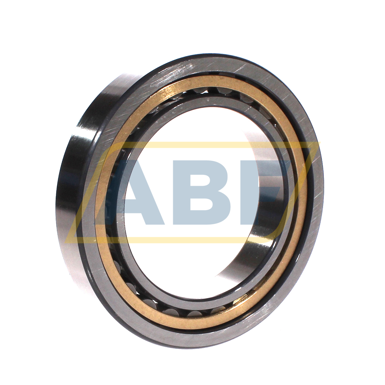 NU1018-XL-M1-F1-C4 FAG