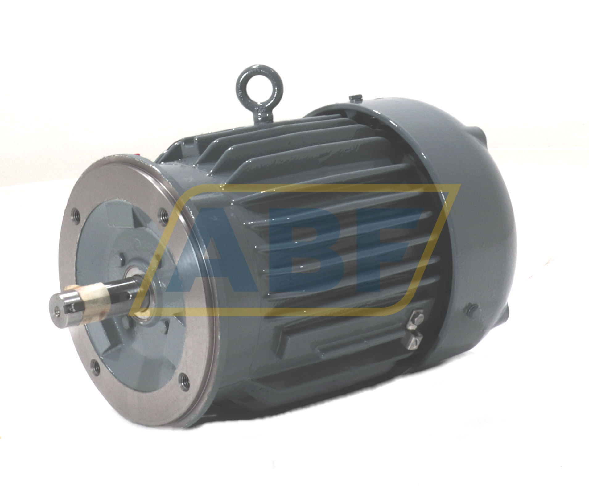 06J142X20361XN Baldor