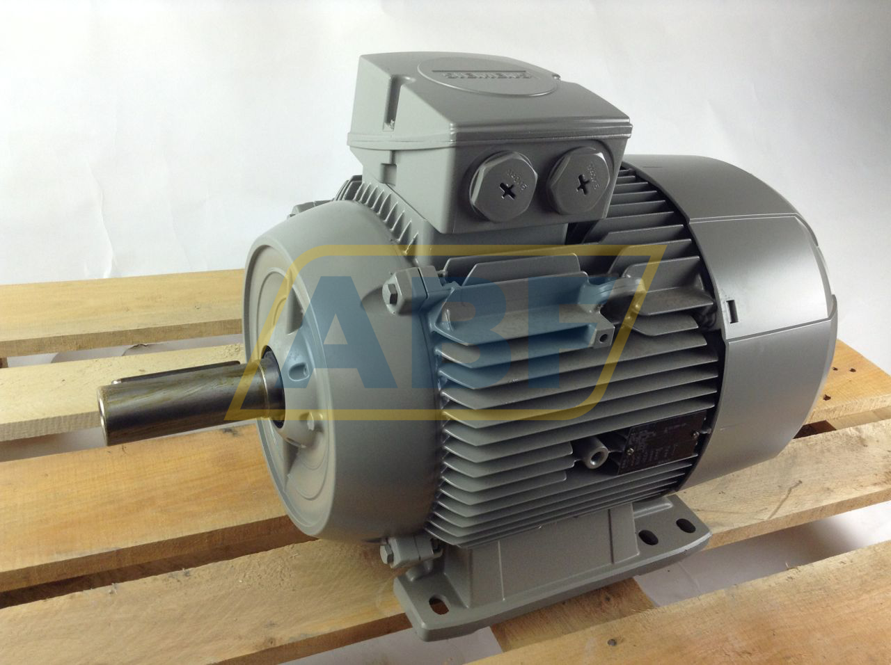 1LE1002-1DB43-4AA0 Siemens