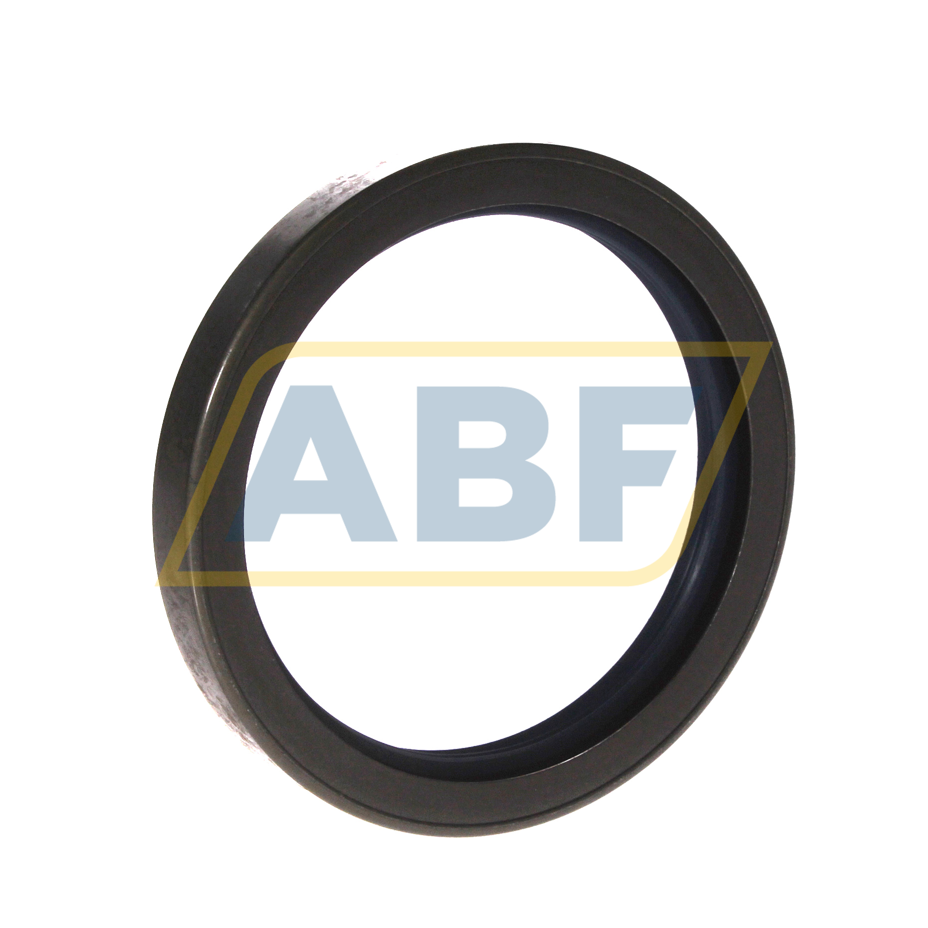 80X100X13CRSHA12R SKF