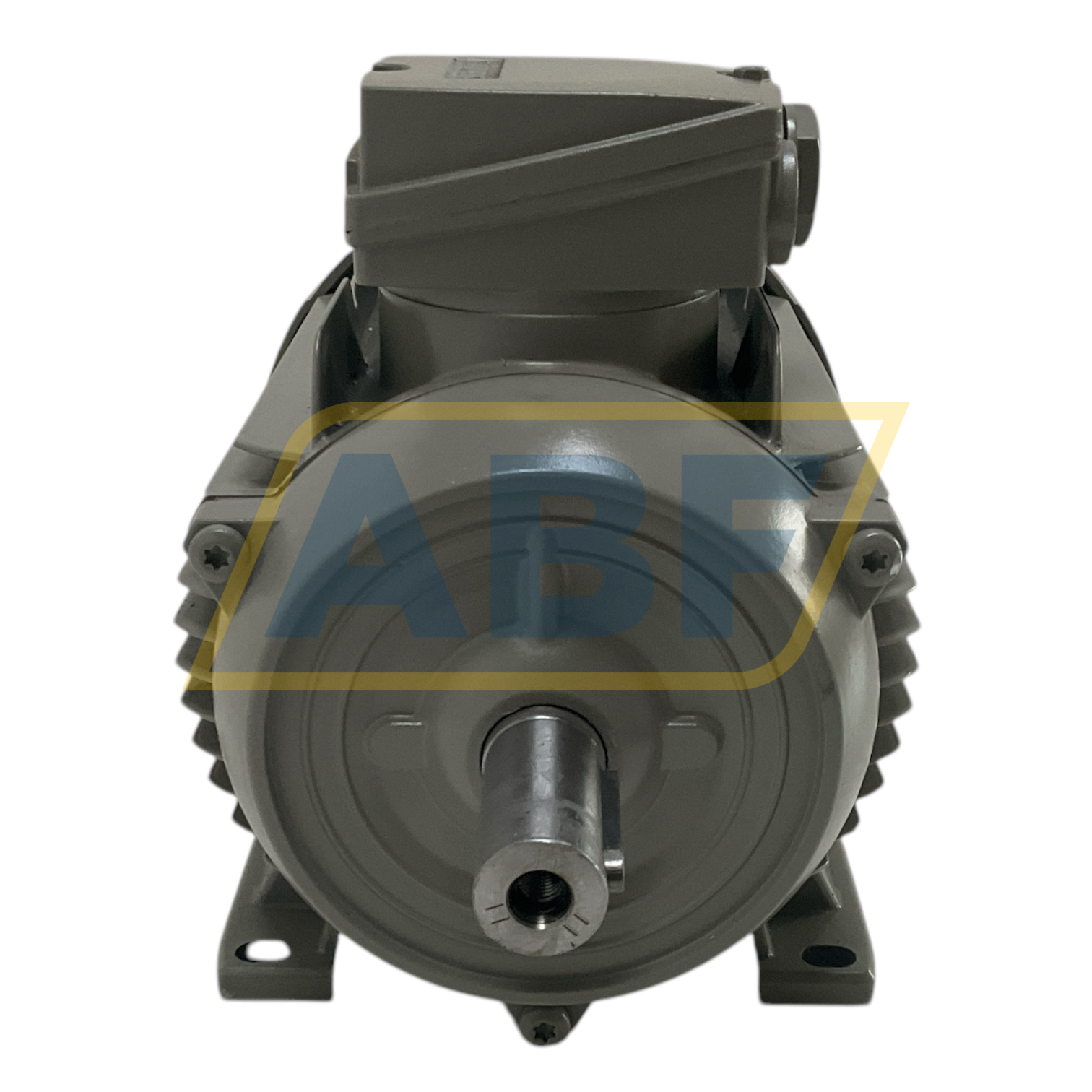 1LE1003-0EC02-1AA4 Siemens