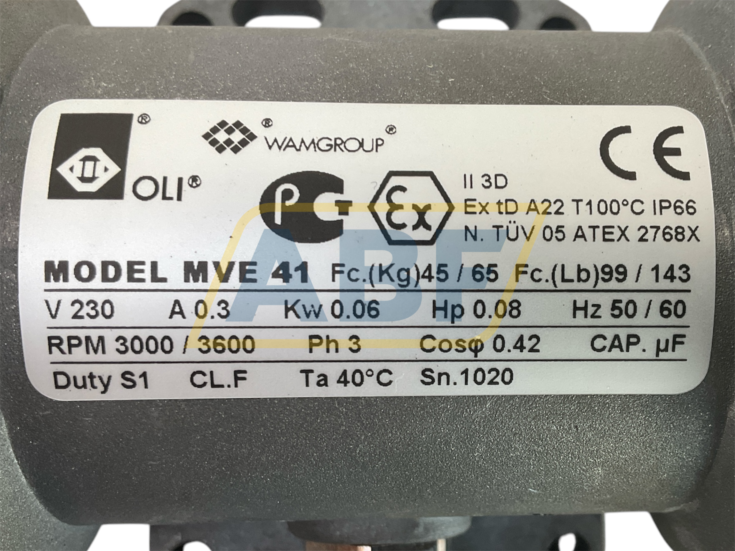 MVE41/3E-MICRO OLI Medolla (MO)