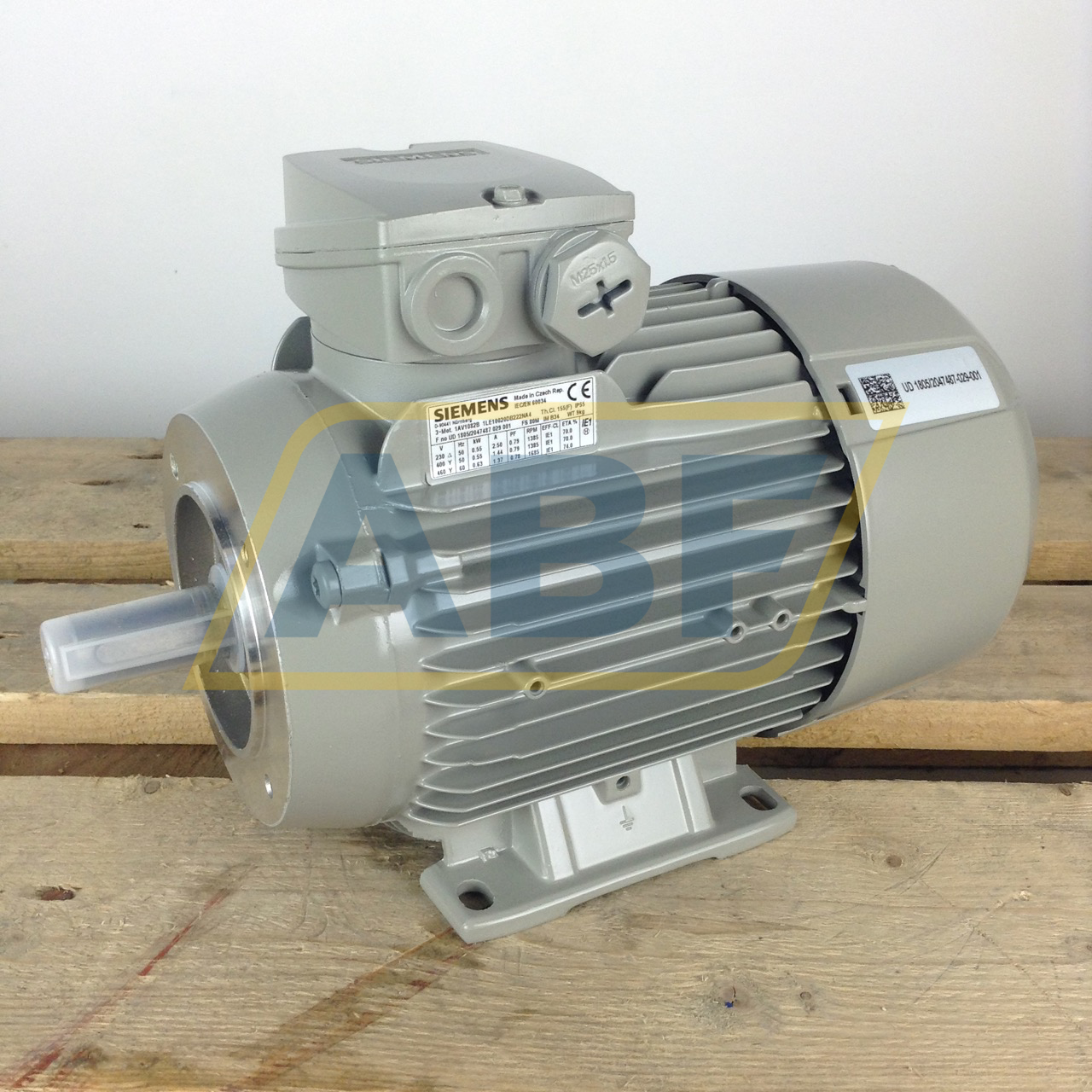 1LE1002-0DB22-2NA4 Siemens