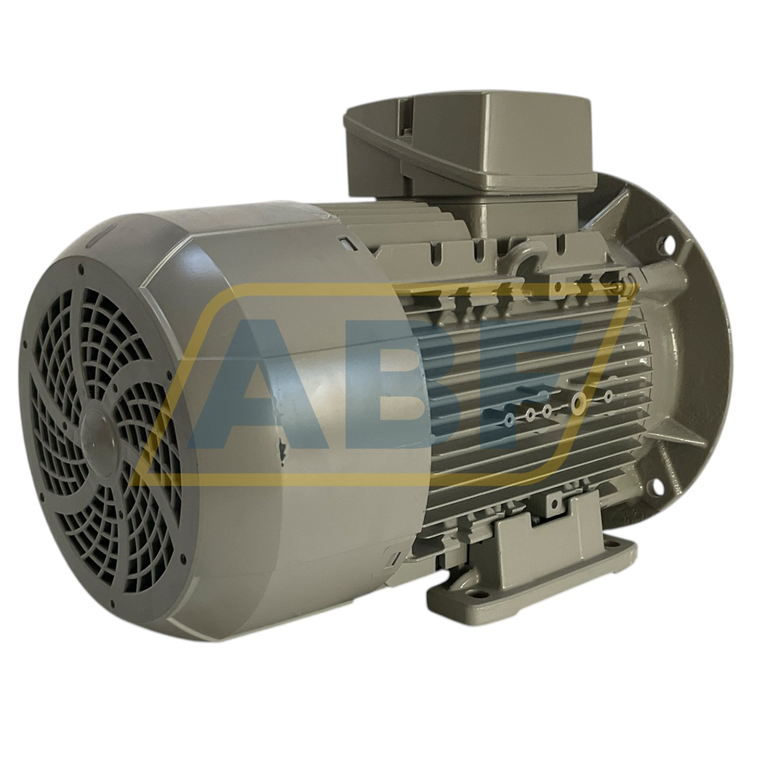 1LE1003-1CB02-2JA4 Siemens