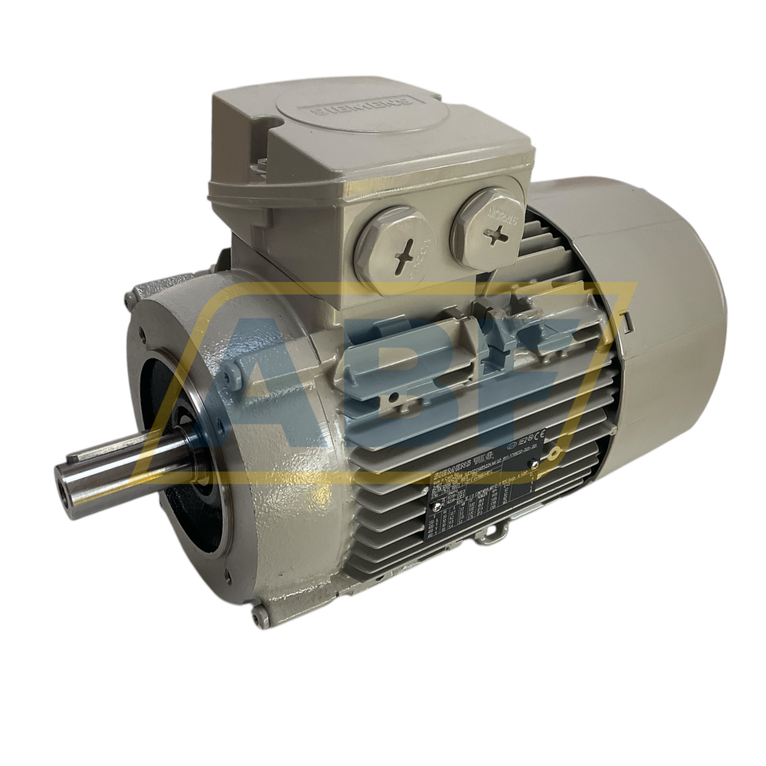 1LE1021-1AB52-2KA4 Siemens