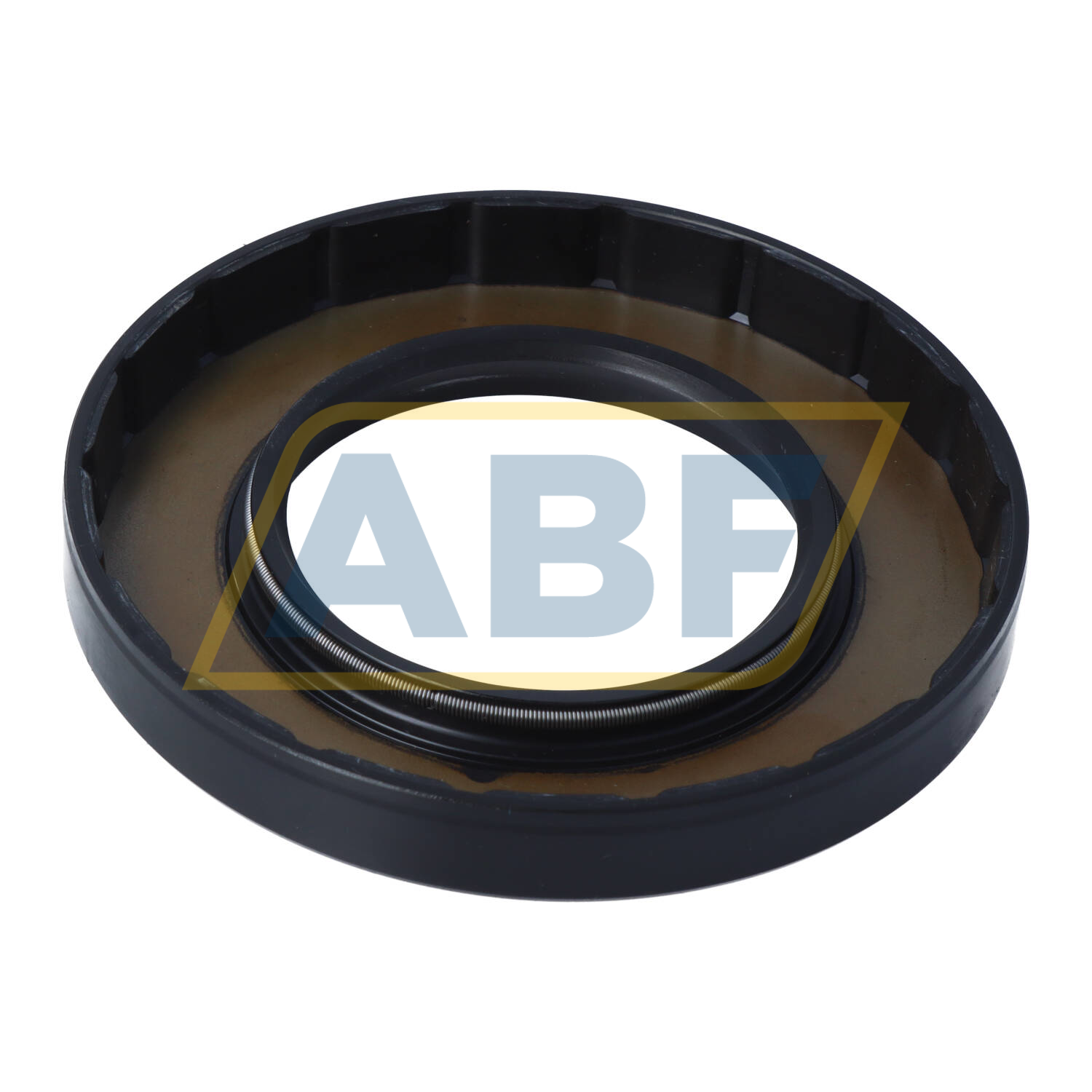 SC55X100X13 NAK Sealing Technologies