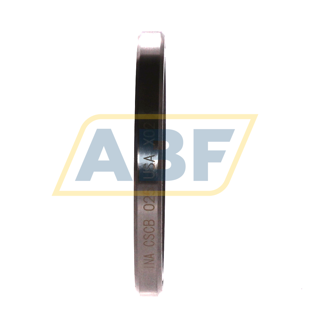 CSCB025-HLE INA