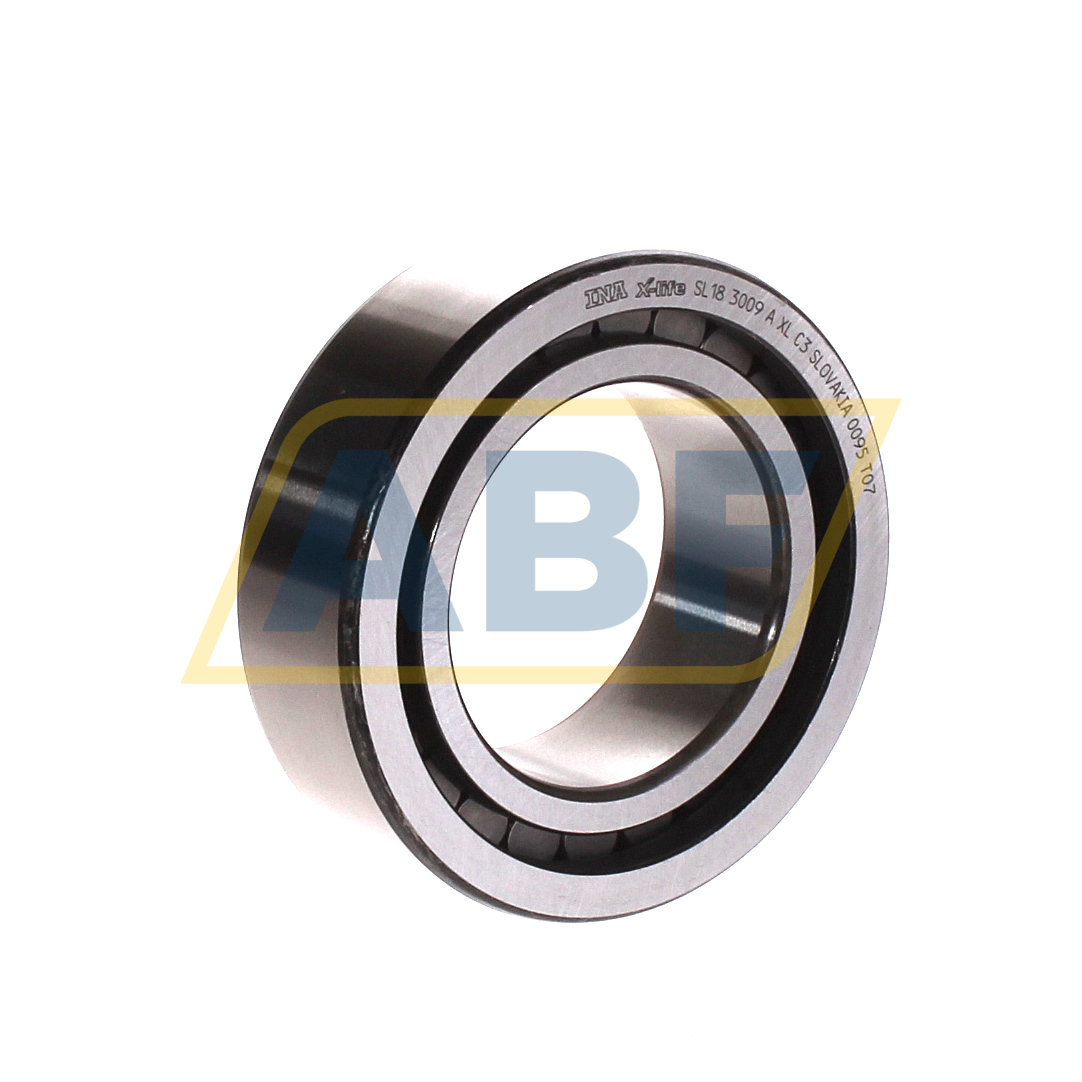 SL183009-A-XL-C3 INA