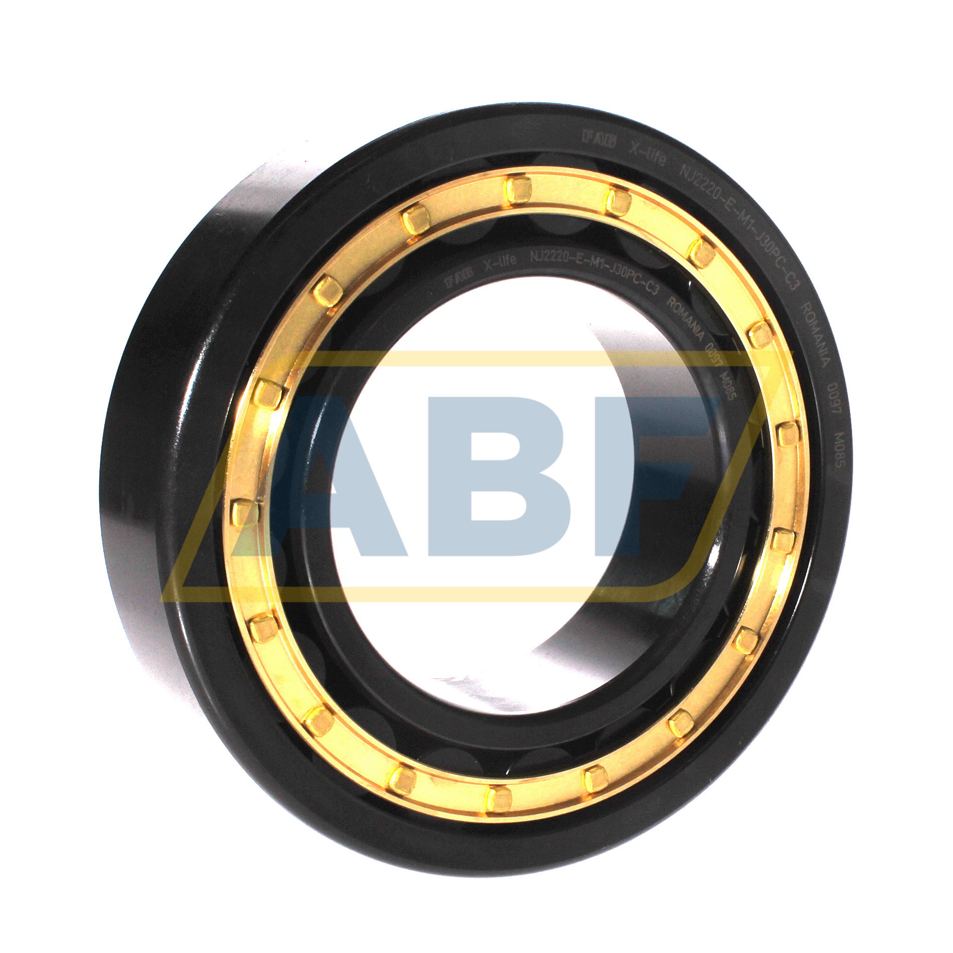 NJ2220-E-M1-J30PC-C3 FAG