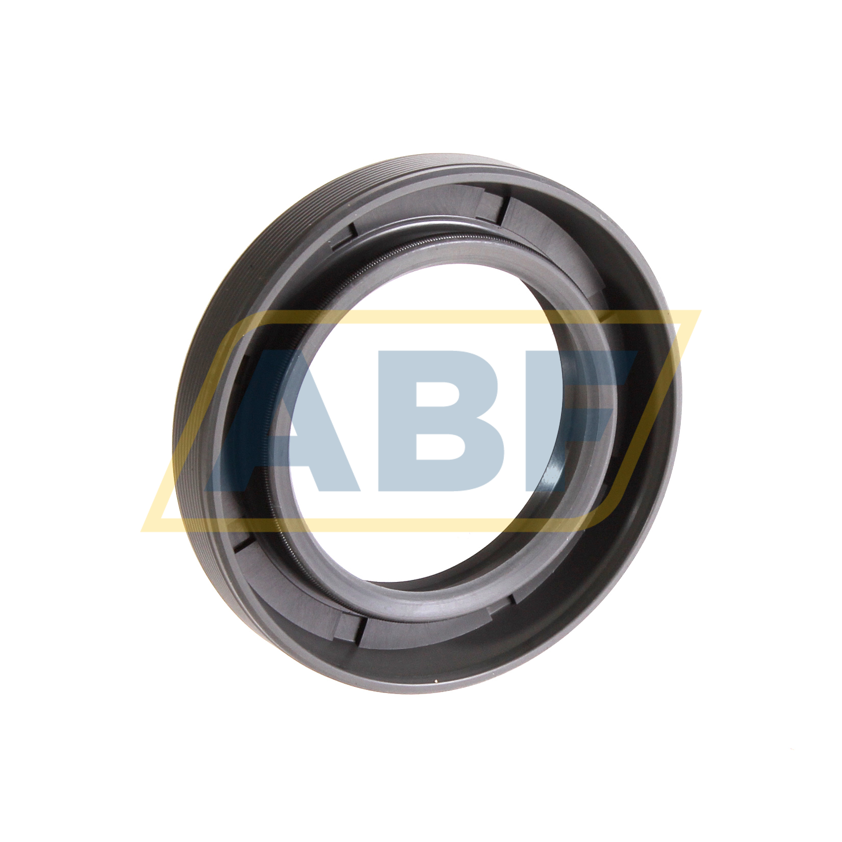 38X58X10HMSA10RG SKF