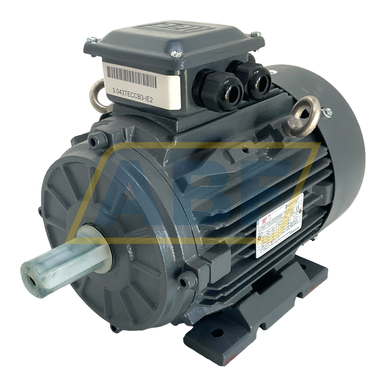 T2CR100L2-4-B3 TechTop Motor