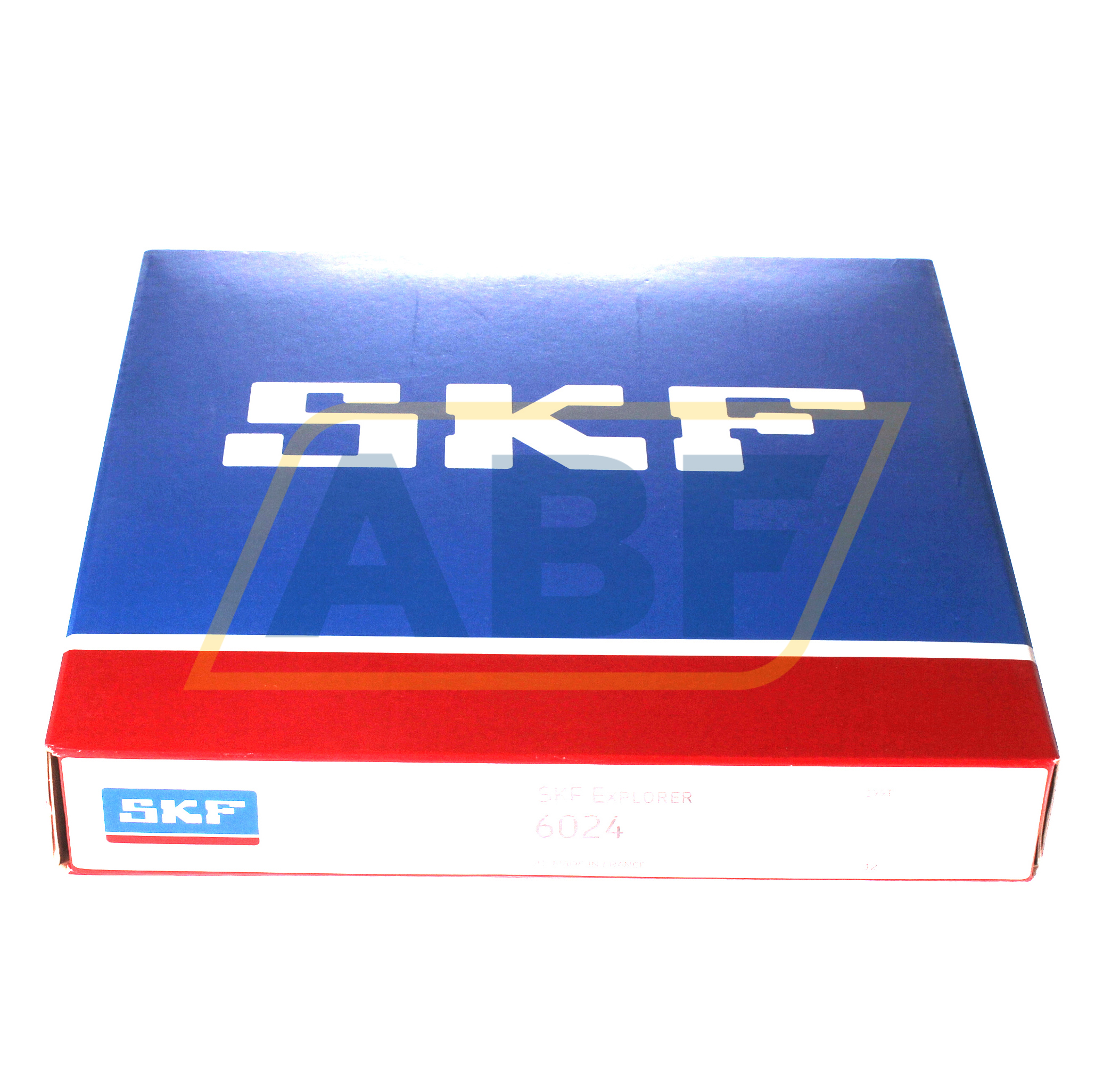 6024 SKF