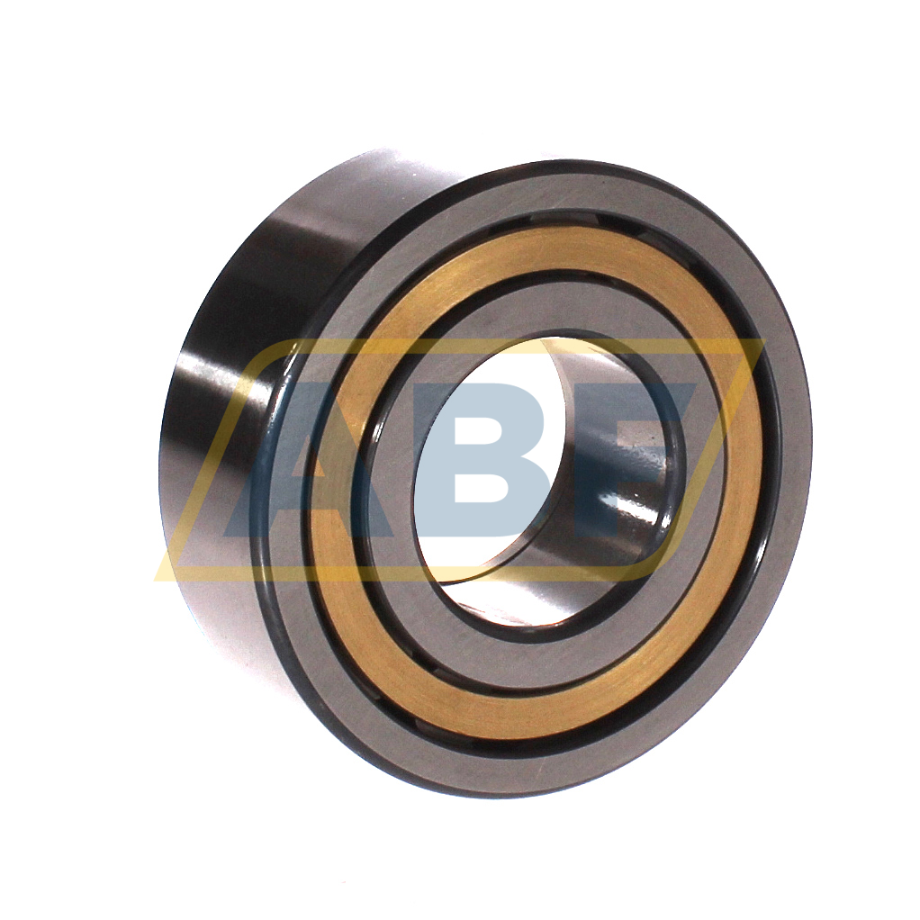NUP2309-E-XL-M1-C3 FAG