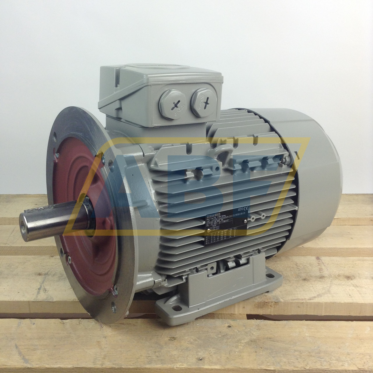 1LE1003-1CB23-4JA4 Siemens