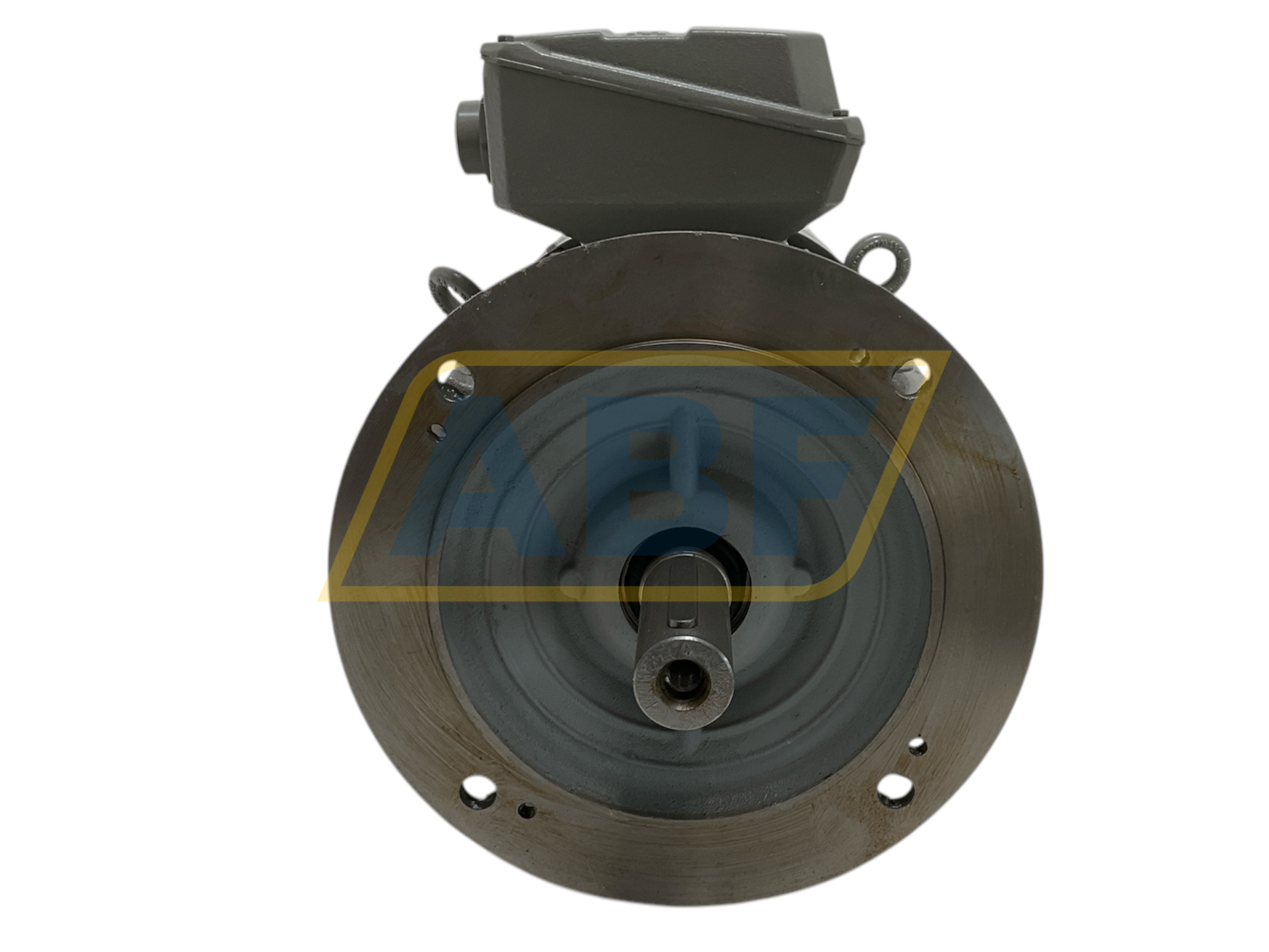 1TZ9501-1DB49-0FA4-Z Lönne