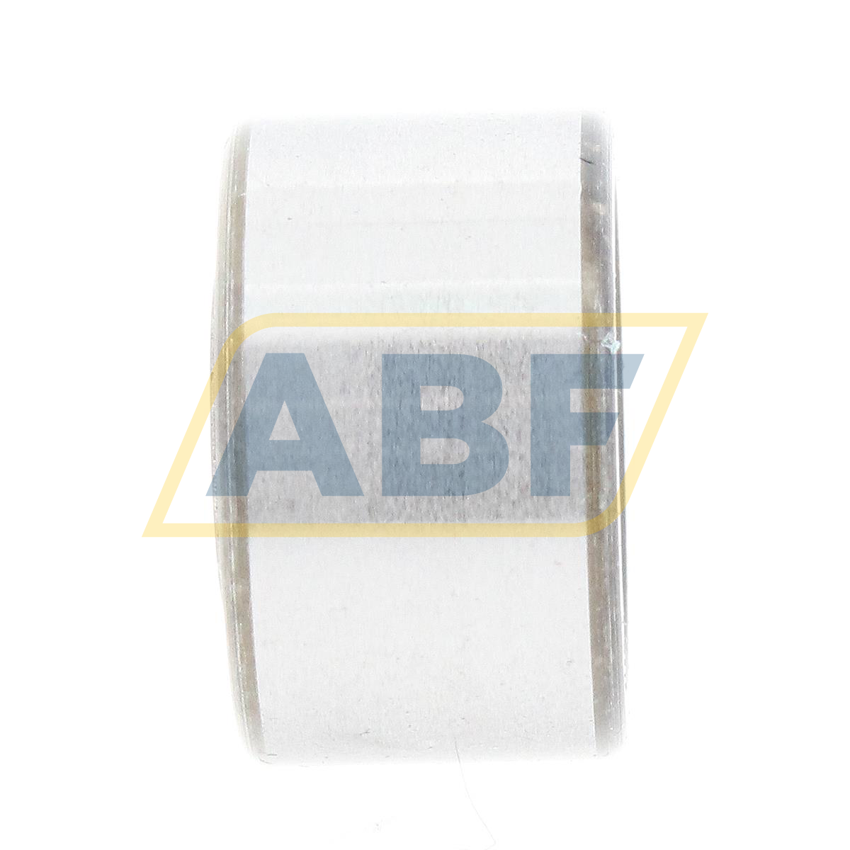 NAO6X17X10-TV-IS1-XL INA