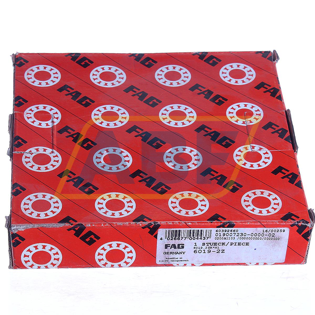 6019-2Z FAG