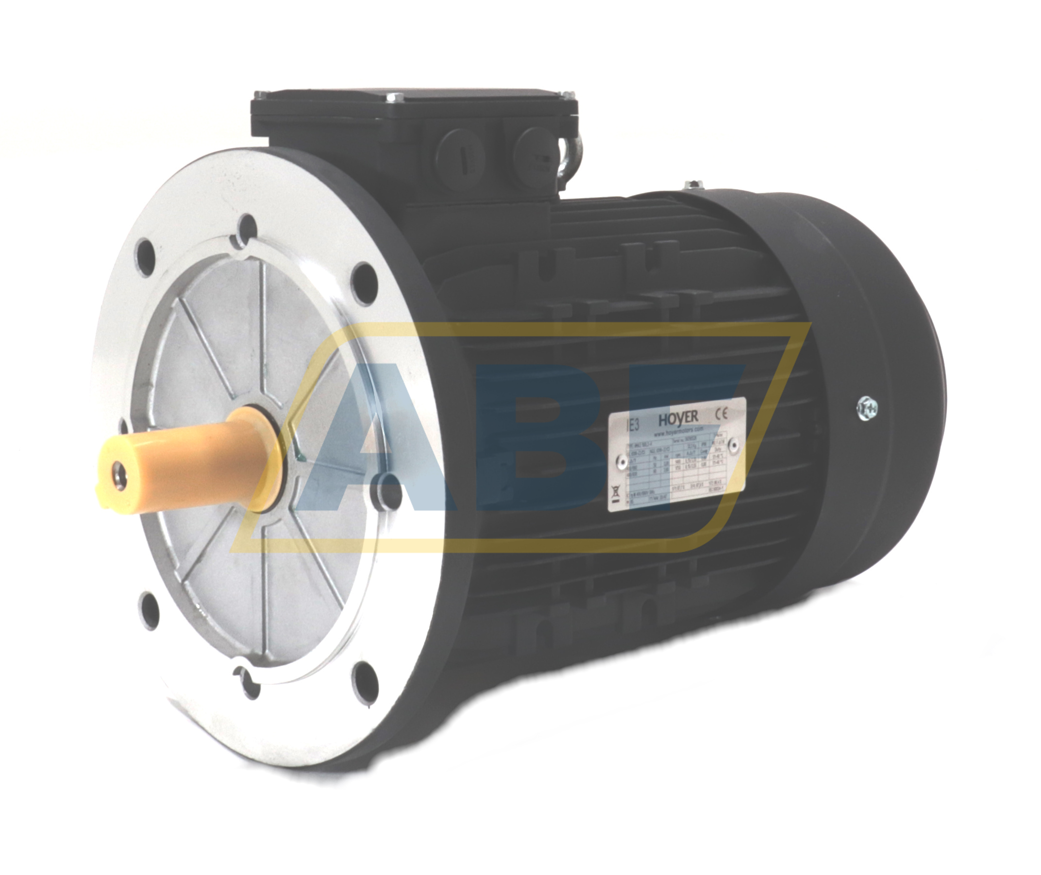 HMA3-100L2-4-B5 Hoyer