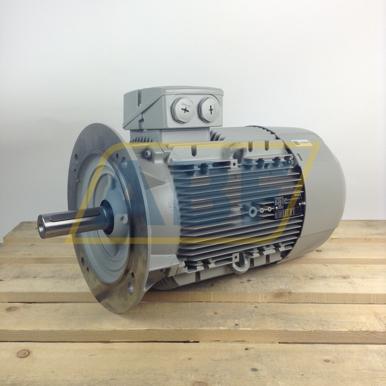 1LE1001-1DA63-4FA4 Siemens