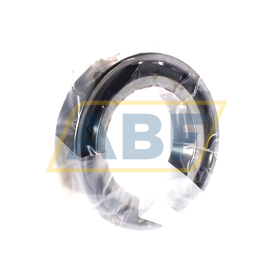 N1009-D-K-TVP-SP-XL FAG