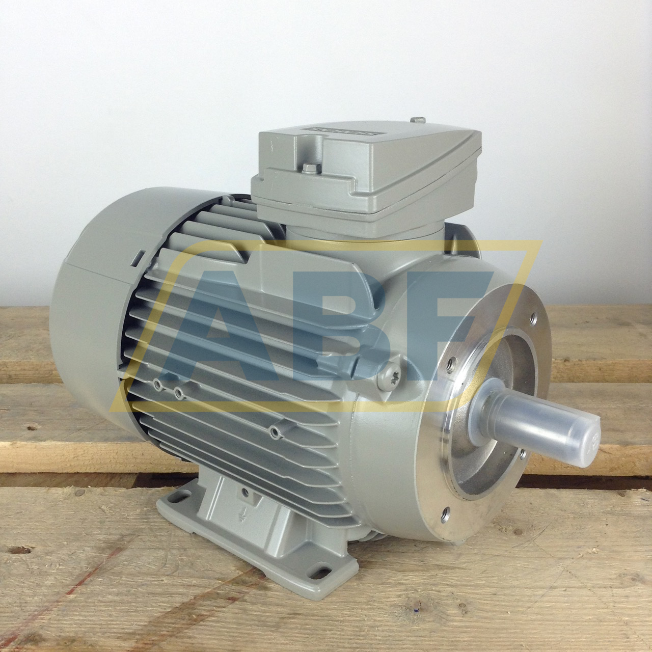 1LE1002-0DB22-2NA4 Siemens