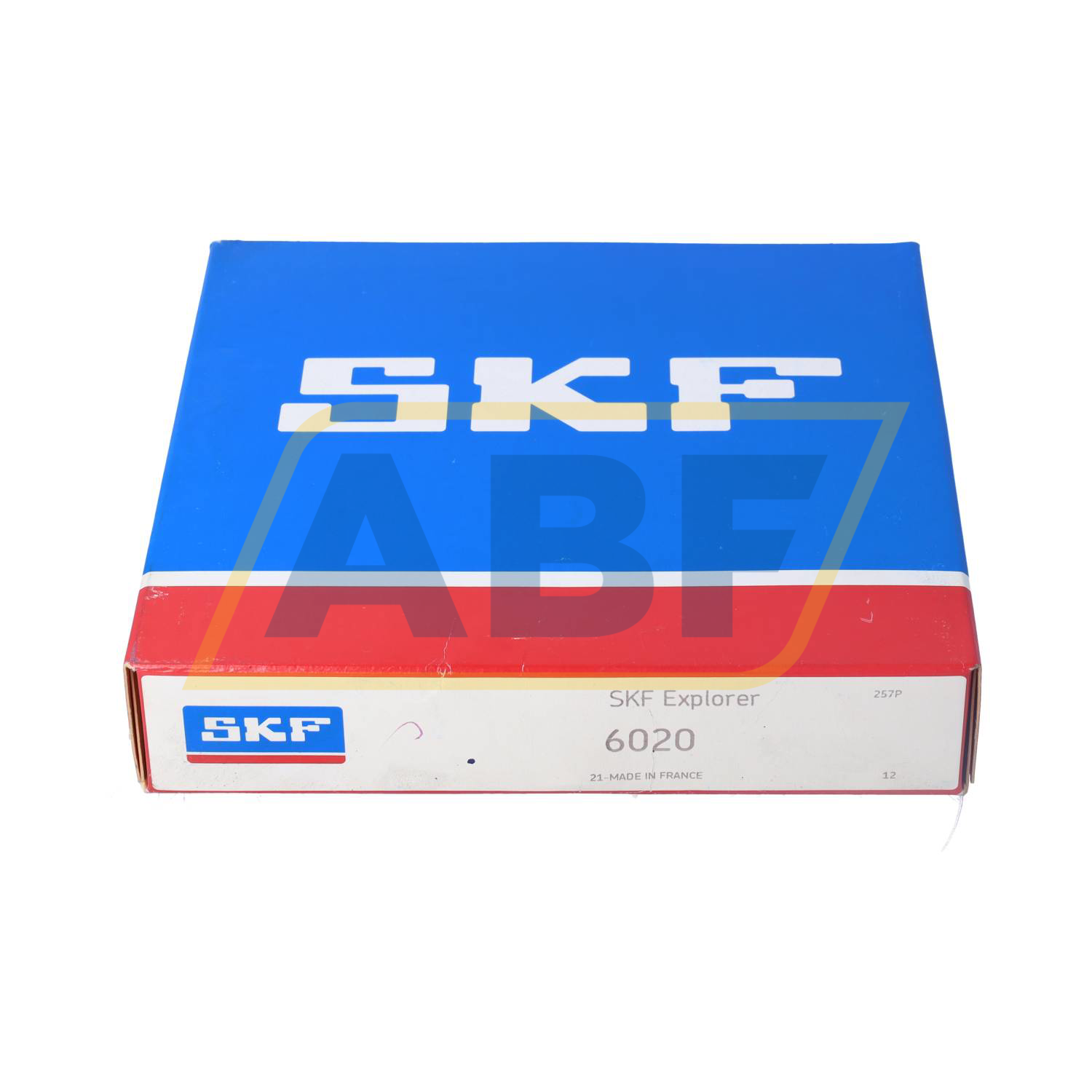 6020 SKF