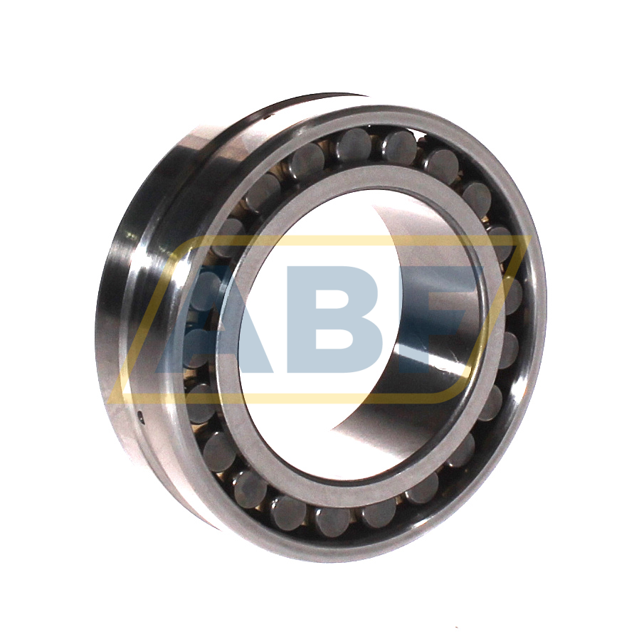 NN3009K D1 C1 NA P4 NTN