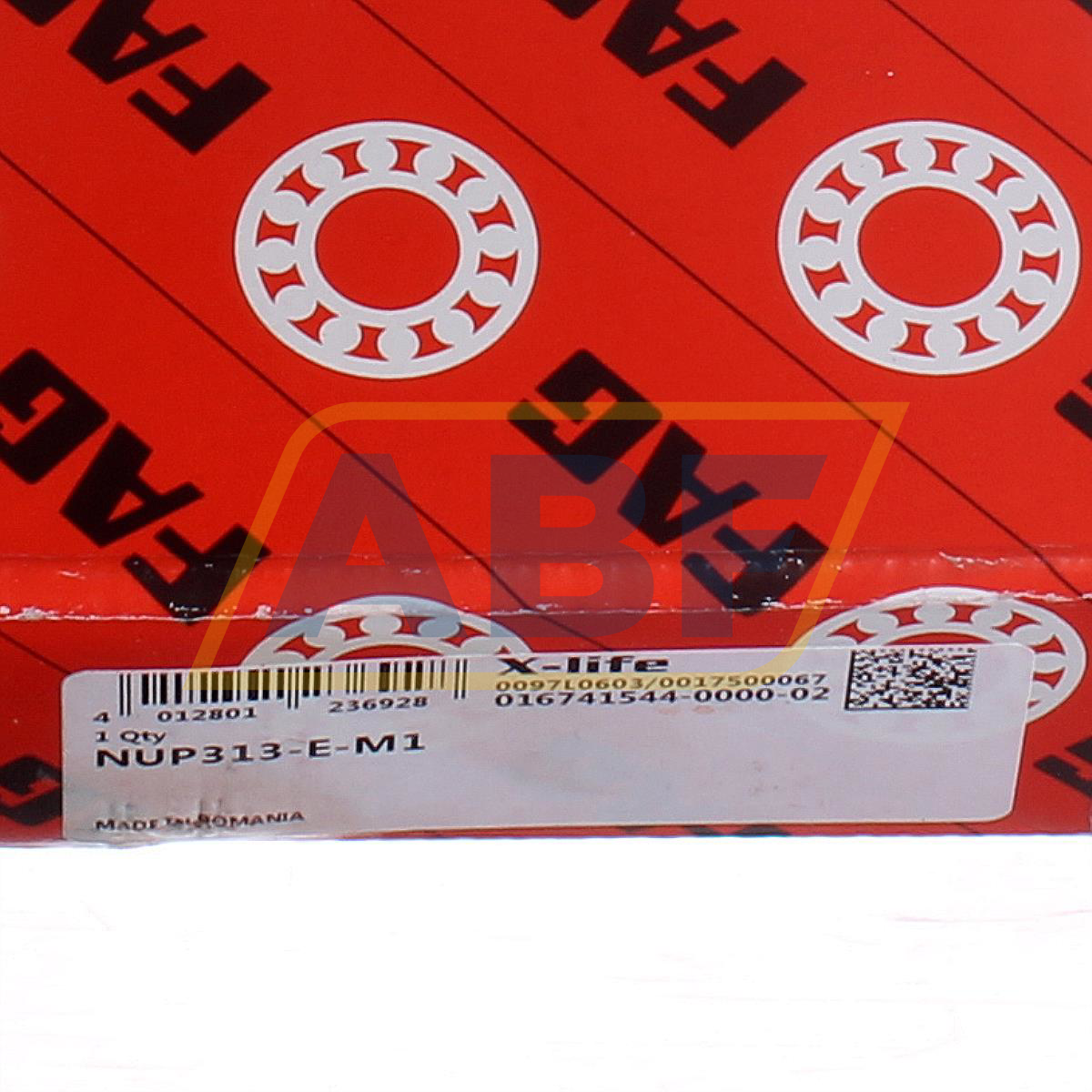 NUP313-E-M1 FAG