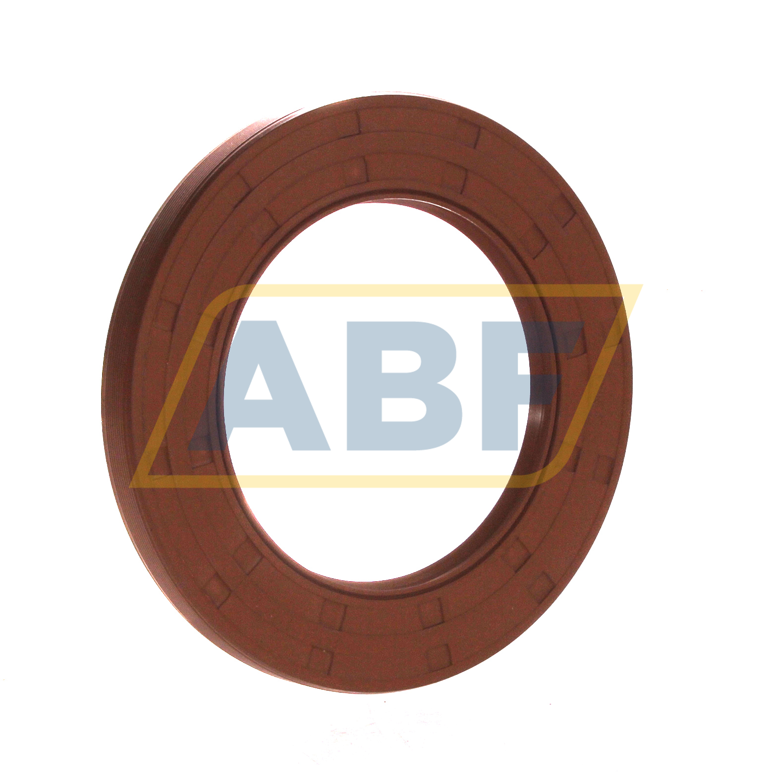 65X100X10HMSA10V SKF