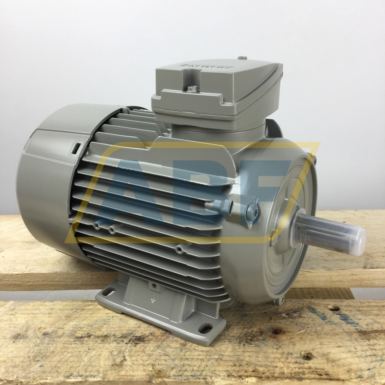 1LE1002-0DB22-2AA4 Siemens