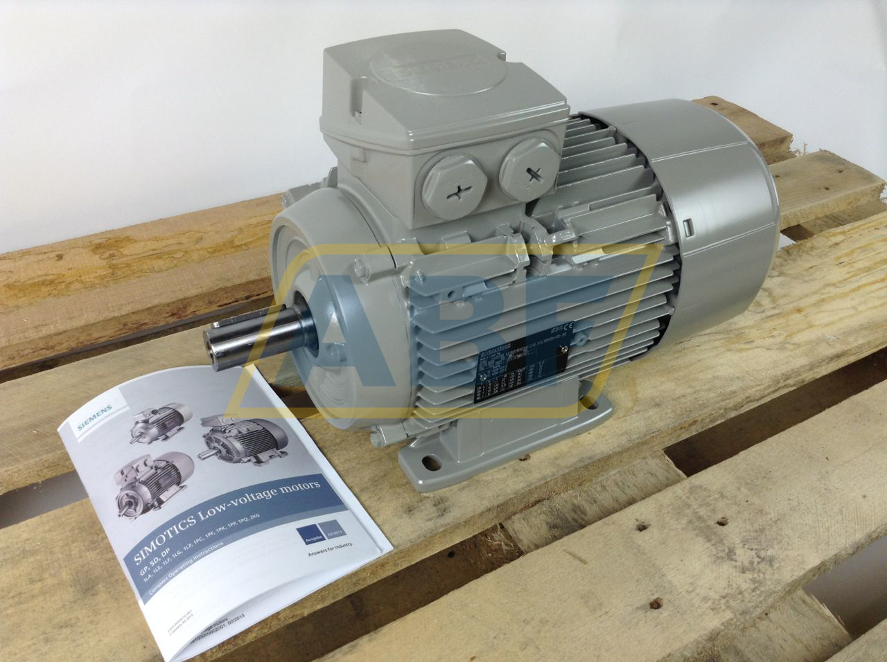 1LE1003-1AB42-2AA4 Siemens