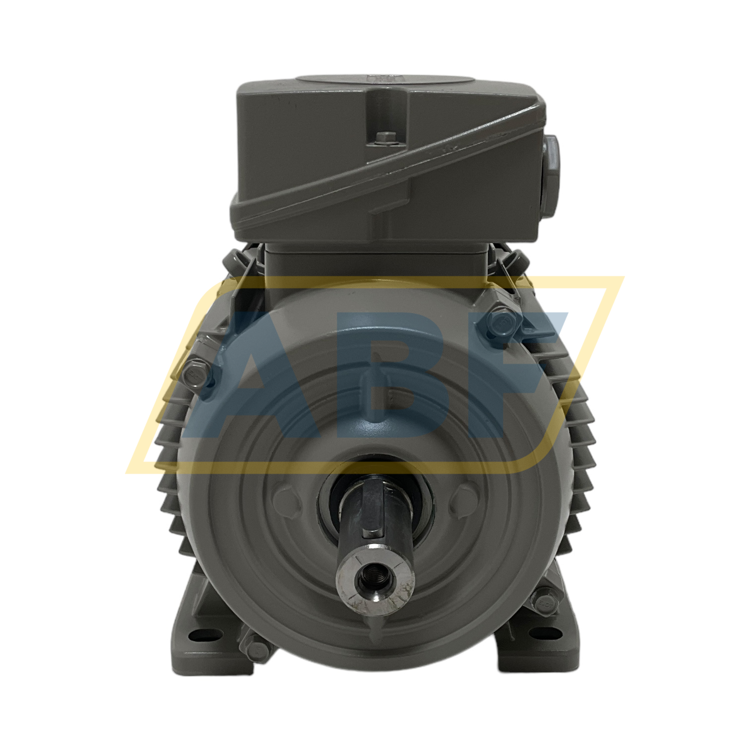 1LE1004-1AB42-2AA4 Siemens