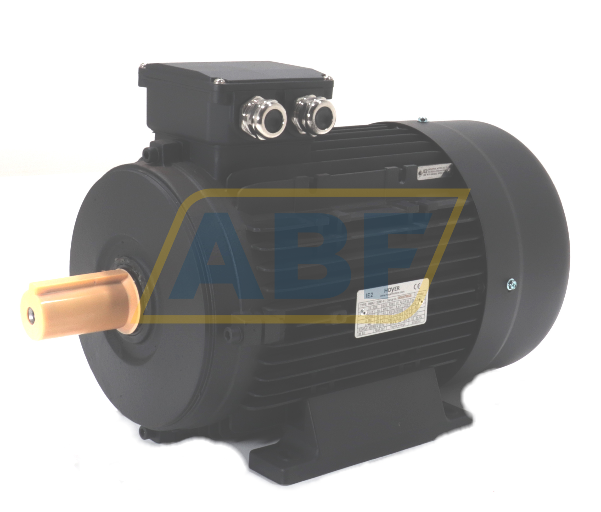 HMA2-132M1-6-B3 Hoyer