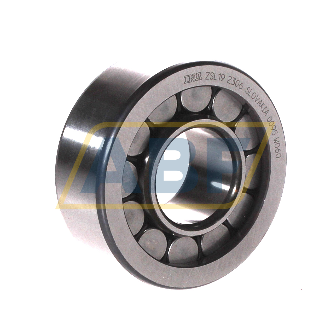 ZSL192306 INA